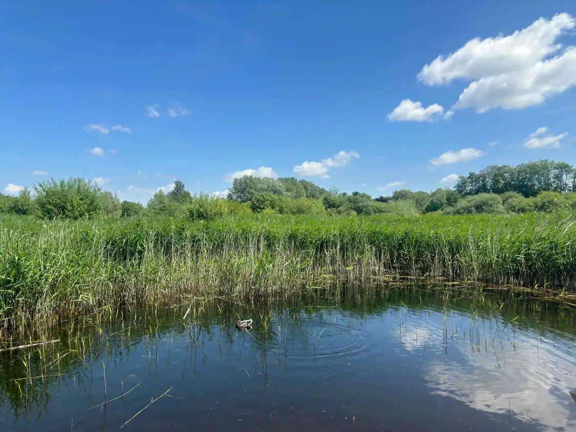 Hotels near Winnall Moors Nature Reserve