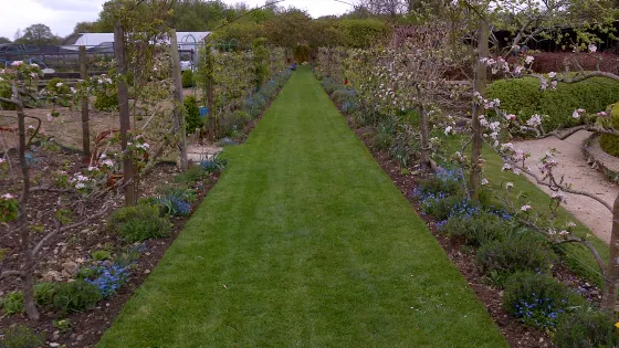 Bridewell Organic Gardens