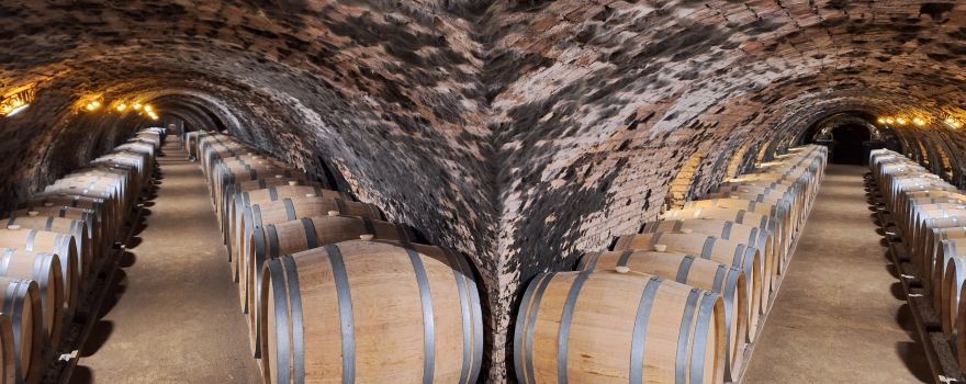 Tokaj Oremus Pinceszet