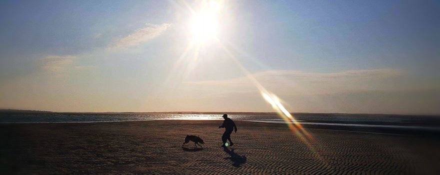 Sandhills Beach Provincial Park