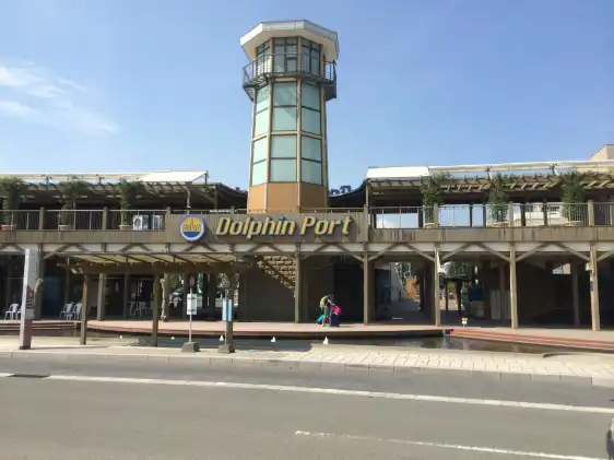 鄰近海豚港的酒店