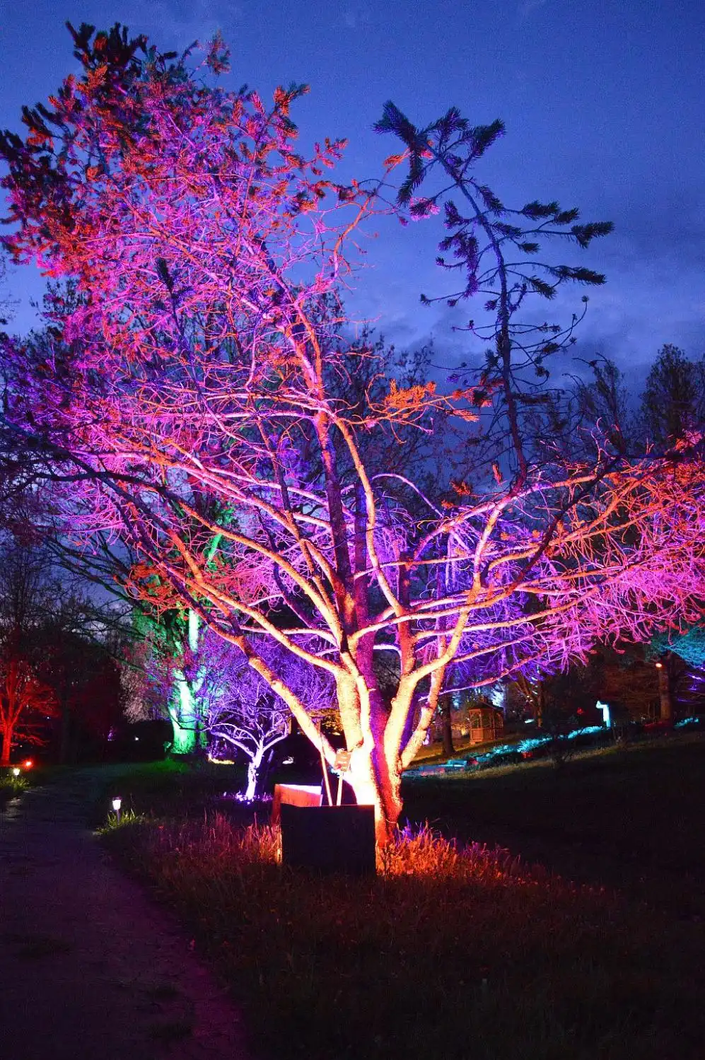 Отели рядом с достопримечательностью «Наннен Арборетум»