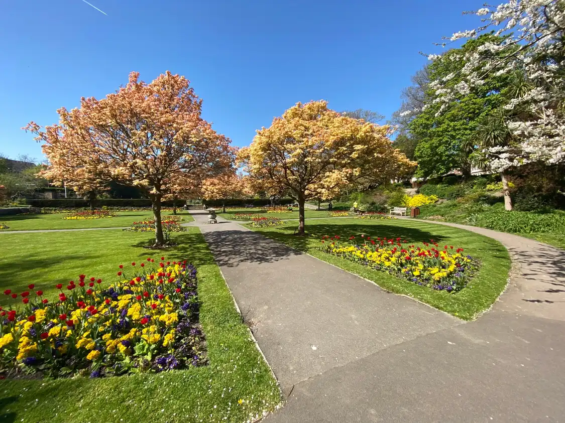 Hotels near Kingsnorth Gardens