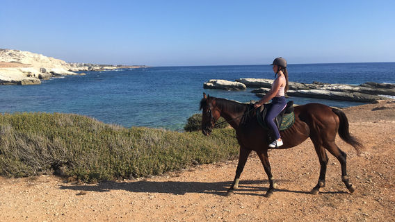 Georges Ranch Riding Stables