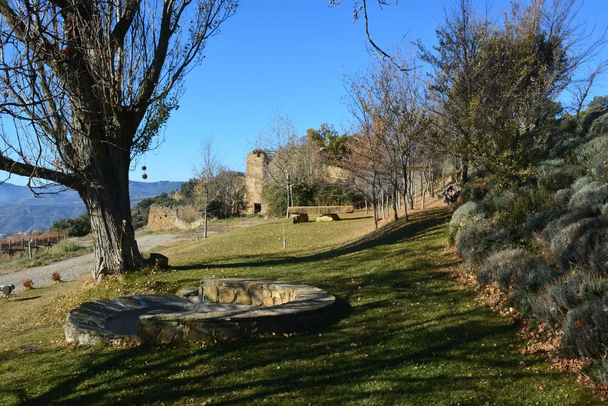 1_Bodega Castell d'Encus