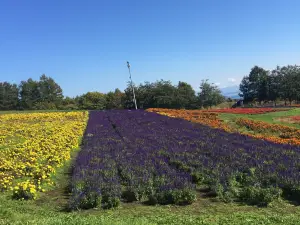 Abashiri Lake View Ski Area