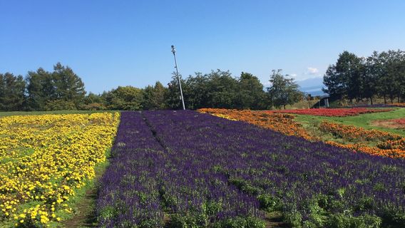 Abashiri Lake View Ski Area