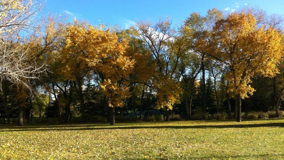 Kiwanis Waterfall Park