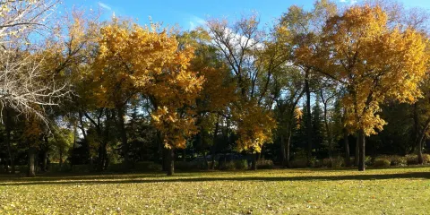 Kiwanis Waterfall Park