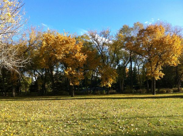 Kiwanis Waterfall Park