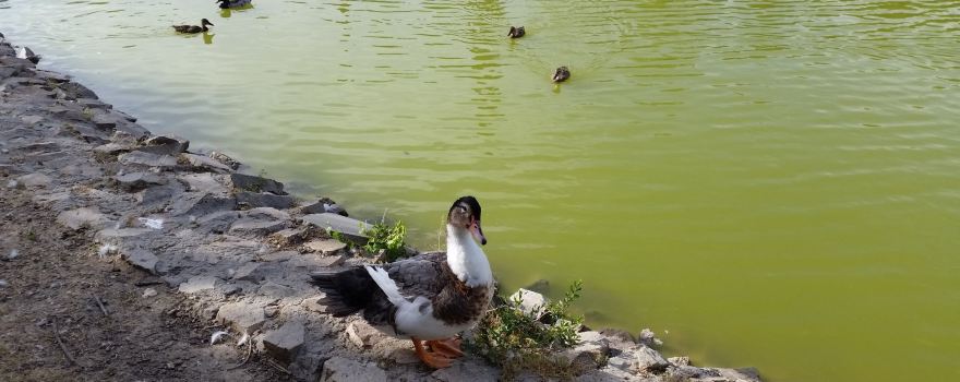 Parque de la alhondiga