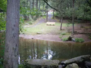 Reeds Gap State Park