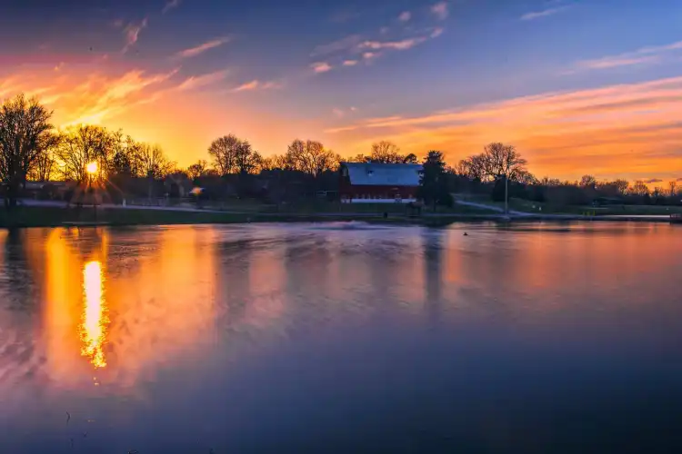 Hotels in Festus
