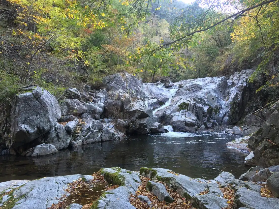 Hotels near Micheongol Valley