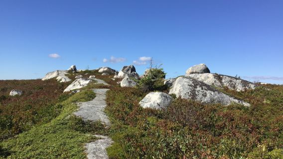 Swissair Flight 111 Memorial Site – Peggy’s Cove