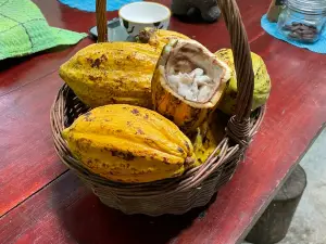 Costa Rica Best Chocolate