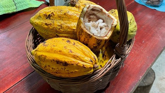 Costa Rica Best Chocolate