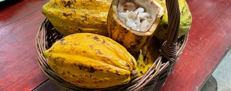 Costa Rica Best Chocolate