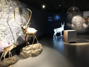 Hardangervidda Nasjonalparksenter