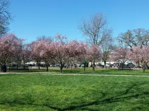 Windsor Town Green