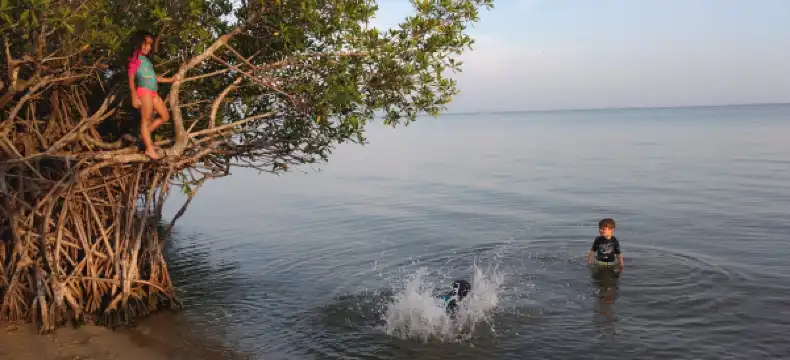 トナラのホテル