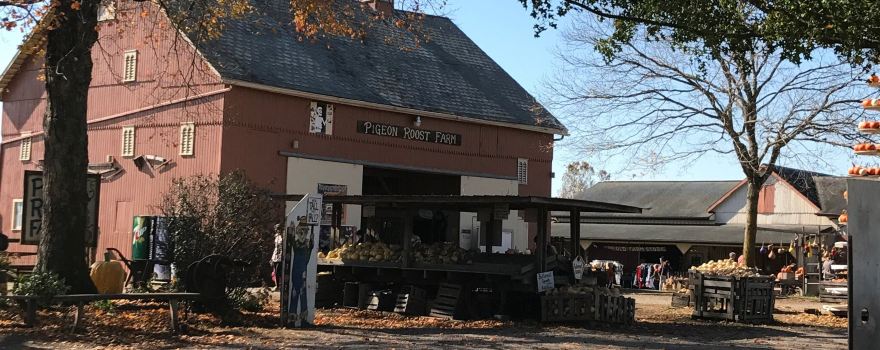 Pigeon Roost Farm