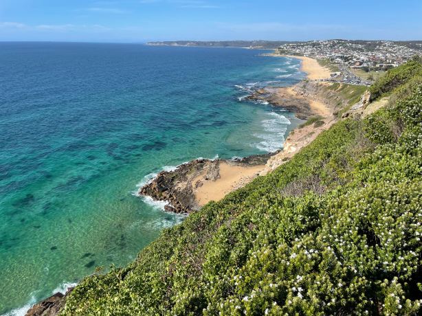 Strzelecki Lookout