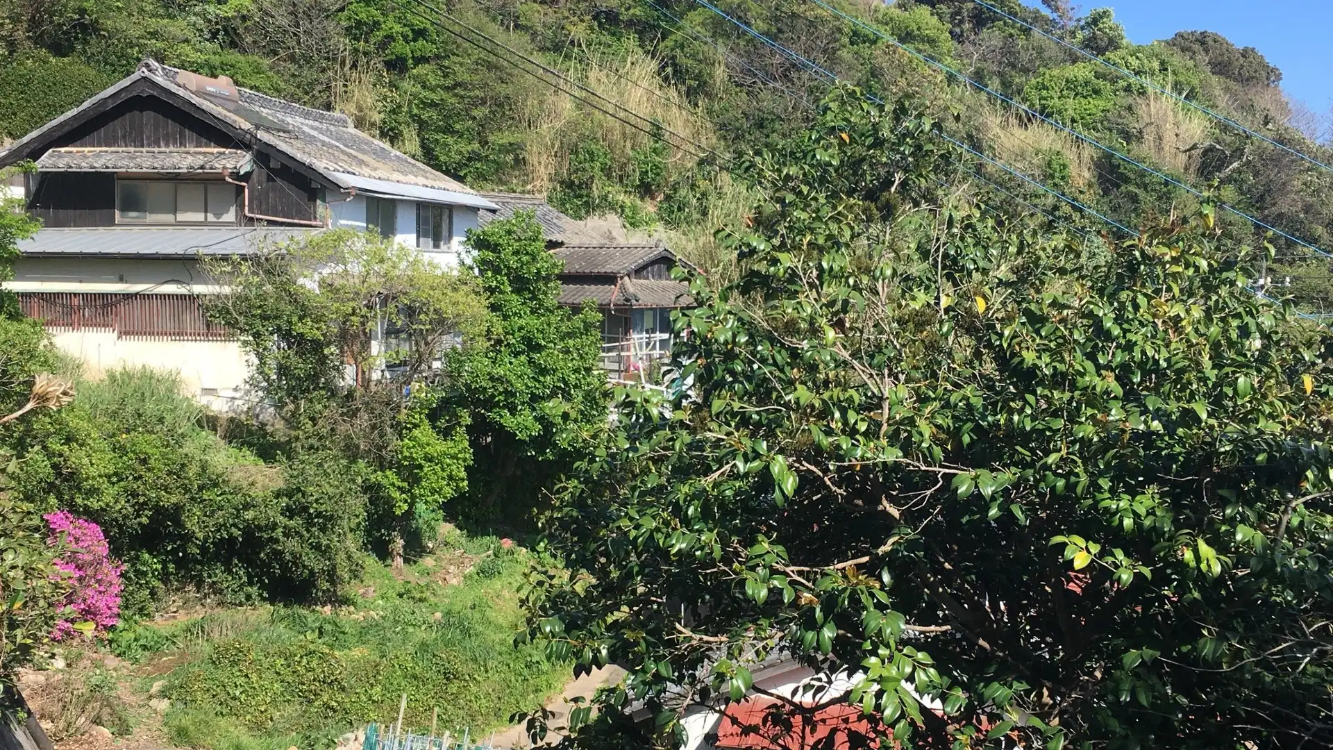 加唐島周辺のホテル
