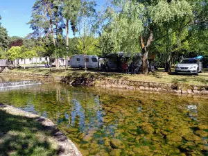 Camping Arlanza