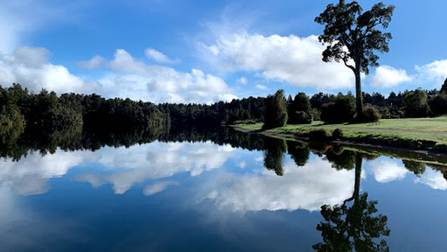 Hans Bay - Lake Kaniere Camping Area