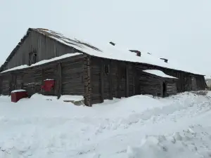Sklad Skh Inventarya Zhirnovskogo Lesnichestva
