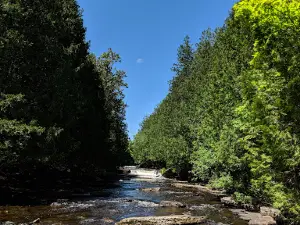 Whitefish Falls