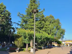 Plaza de Armas de Curacautín