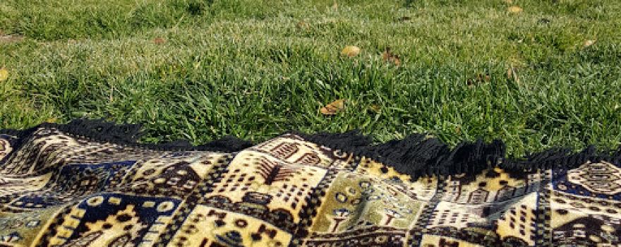 Tabarjal public garden for families