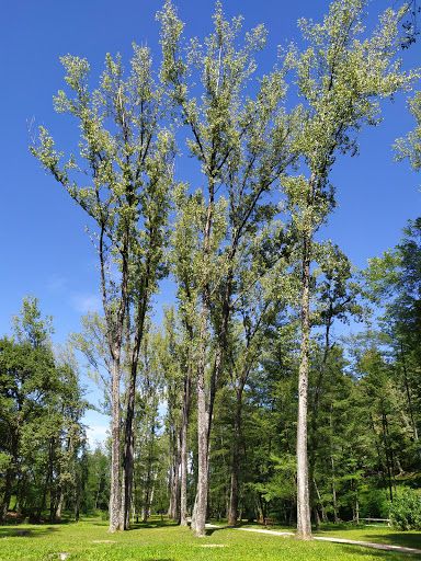 Ingresso Parco Bosco Romagno