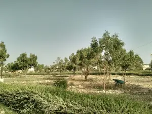 Hashim Abad Housing Society Public Park Phase 2