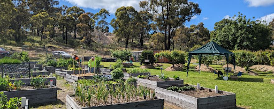 Long Gully Community Garden