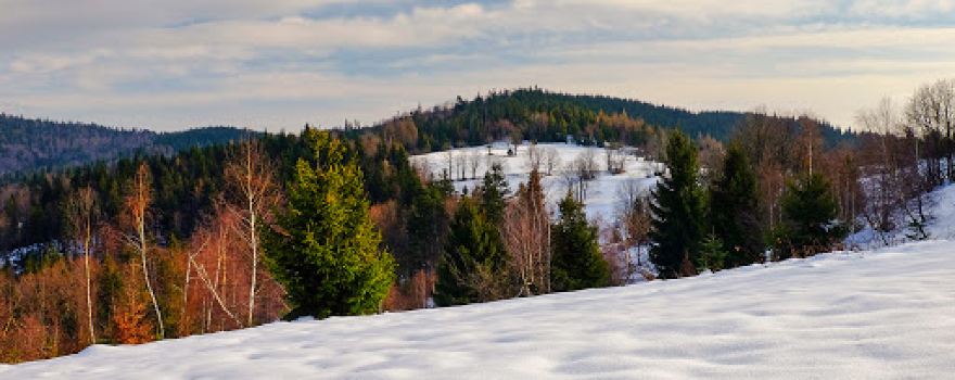 Wielki Gibasów Groń