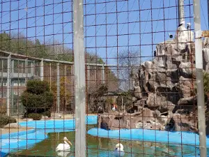 Uchi Park Zoo
