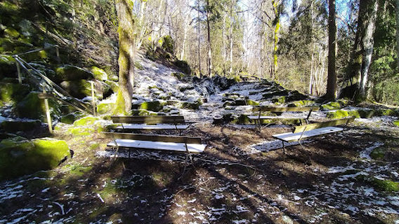 Mörttjärns naturreservat