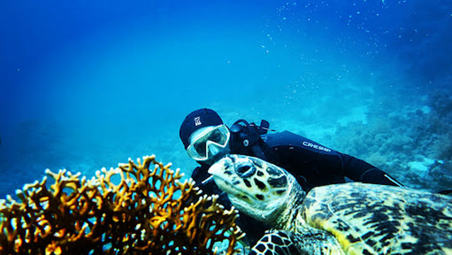 Blue Lagoon Diving Center Sharm El-sheikh