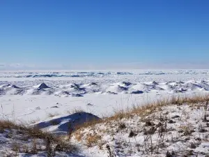 Sand Dunes Beach