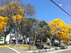 Rosary Square