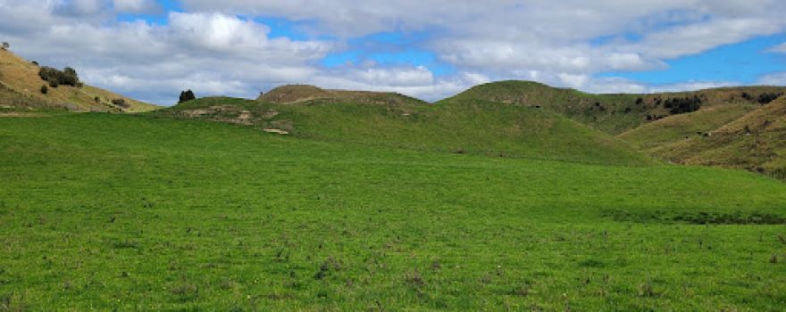 Rangiwahia Scenic Reserve
