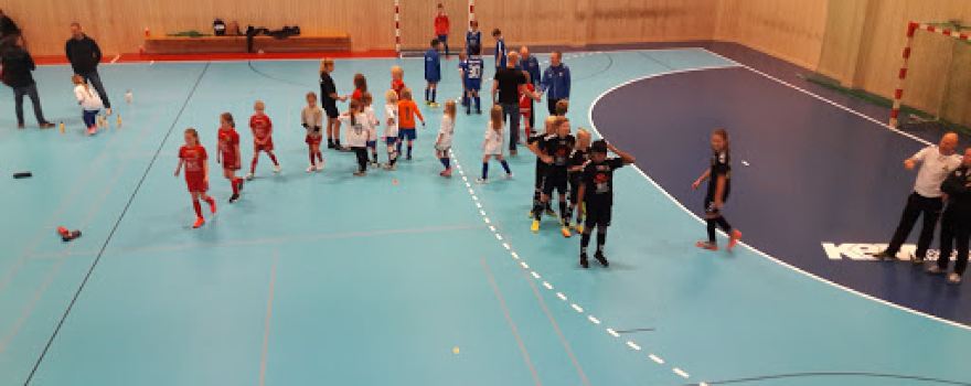 Torslanda Handbollsklubb