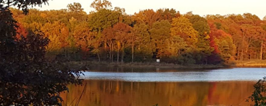 Skipper's Point Campground
