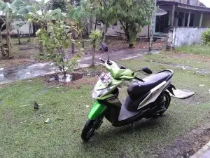 Taman WONOSOBO