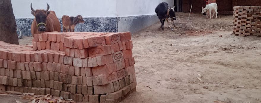Z.P. Villa Garden चिन्टू चा की बाग