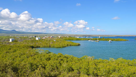 Parque Nacional Galapagos