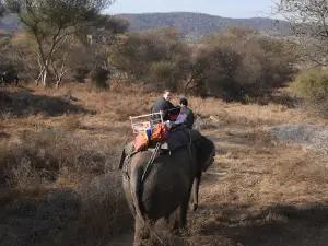 Sarai Amber - Resort with organic farm in Middle of Nature - Elephant Activity Park